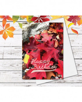 Red Maple leaves rock autumn Happy Birthday Thanksgiving Cards  Thank You Fall Handmade Greeting Card