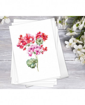 Set of 8 Wildflower Floral Flower Hydrangea Watercolour Card Greeting Cards Anniversary Mother's day Valentine's Day Blank Greeting Card