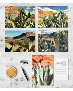 Succulent Tropical Plants Landscapes Postcards Postcard Set Paintings Cards Desert Art Southwest Gift Las Vegas NV Travel Posters Prints